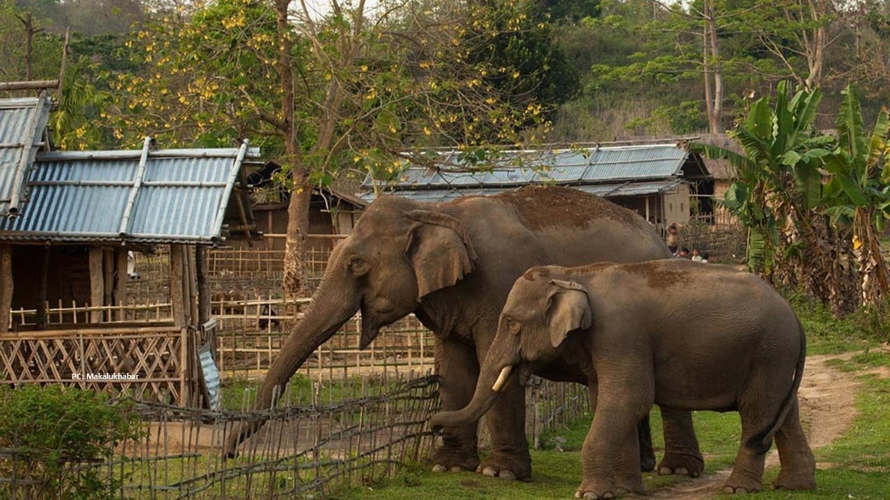 Field validation and research work